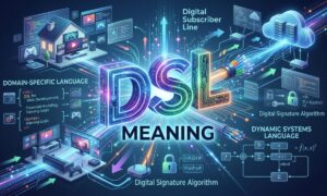 DSL Meaning
