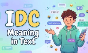 IDC Meaning in Text