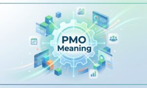 PMO Meaning