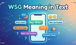 WSG Meaning in Text