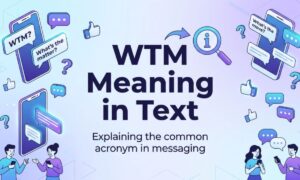 WTM Meaning in Text