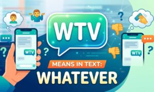 WTV Meaning in Text