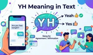 YH Meaning in text