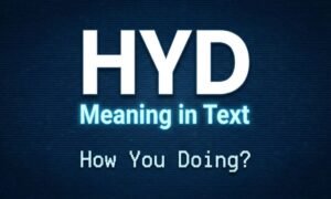 HYD Meaning in Text