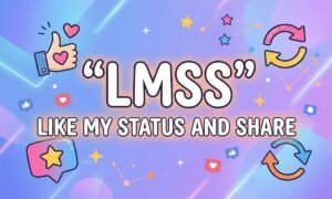 LMSS Meaning In Text