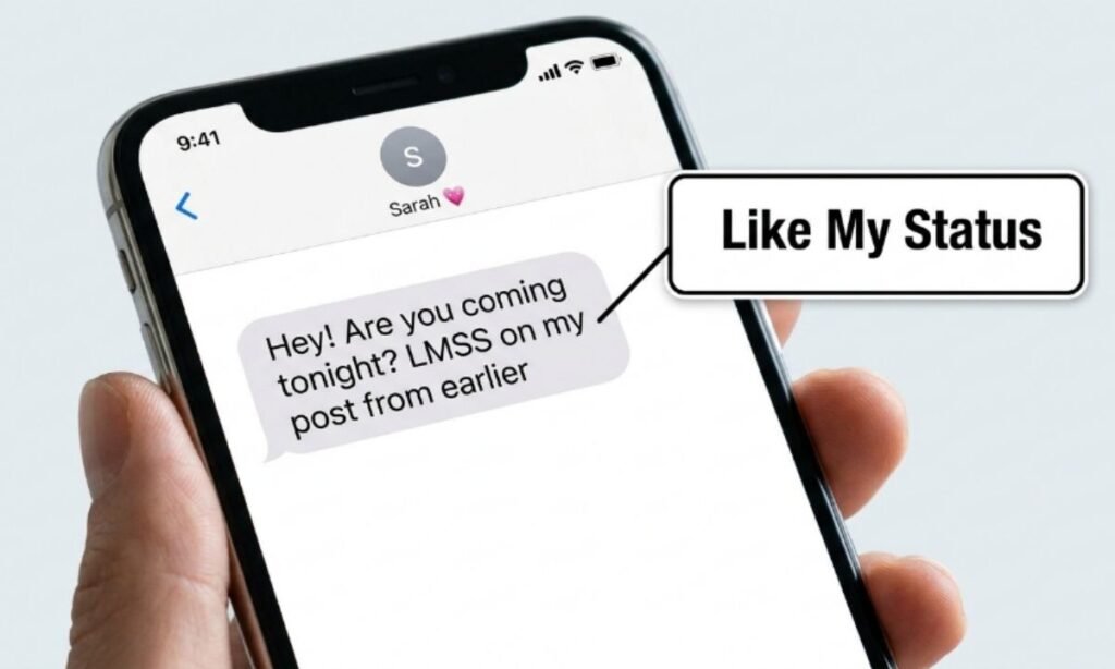 LMSS Meaning in Text From a Girl