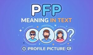 PFP Meaning in Text